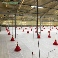 Plancher en plastique à lattes pour poulets de chair en élevage