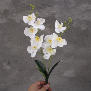 Artificial Phalaenopsis Bonsai Soft Rubber Moisturizing Touch <b>Small</b> <b>Potted</b> Plant for Living Room & Hotel Decoration - Product Image 6
