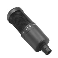 Microphone à condensateur métallique AT2020, connecteur XLR filaire en forme de cœur, adapté aux projets/studios à domicile/jeux/présentations