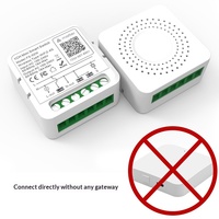 Module d'interrupteur vocal WiFi YDD Alexa Google Home Tuya Matter 16A avec minuterie pour projets commerciaux et distribution en gros