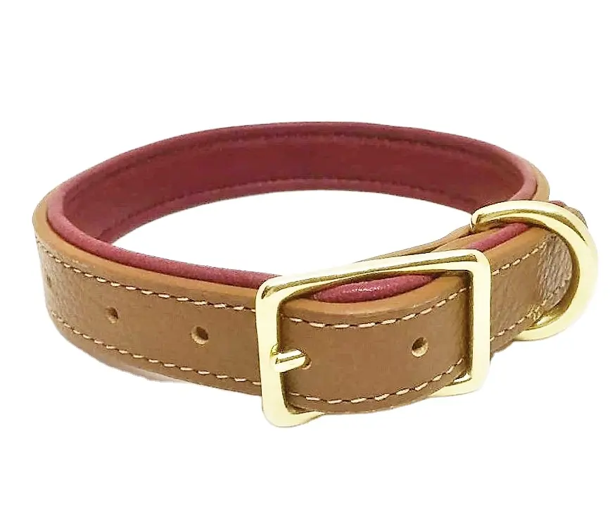 Leather Padded Dog Collar Genuine Leather High Quality Durable Buckles Tan All Colors Luxury Pet Products Harness Leash Bag Set