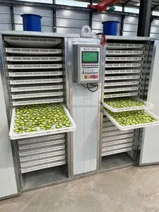 Industrial Professional Obst Gemüse Zitrone Lebensmittel Gefriertrocknung strock ner Dehydrator Maschine Fischt rockner