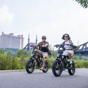 Sepeda listrik dewasa 250W, sepeda listrik dengan baterai 17,5ah 50km/jam, sepeda listrik dengan harga chape