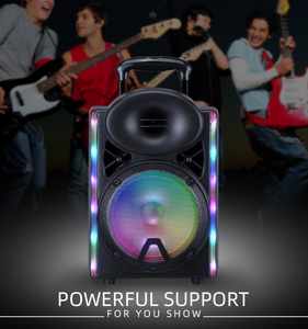 Sistema de teatro en casa microfono <span class=keywords><strong>dj</strong></span> sistema de sonidokaraoke <span class=keywords><strong>parlante</strong></span> bocina altavoz activo - Product Image 6