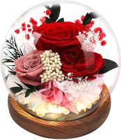 2025 cadeau de fête des mères véritable fleur préservée fleur d'oeillet éternel en verre dôme cadeaux pour maman femmes