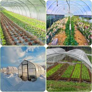 แผ่นพลาสติกคลุมโรงเรือน หนา 6 มิล โปร่งใส ทนรังสียูวี ฟิล์มโพลีเอทิลีน ทนทานต่อการฉีกขาด สำหรับคลุมโครงเหล็กในงานสวน - Product Image 5