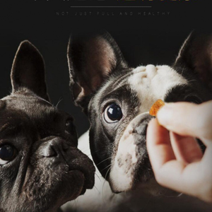 2023 Venda quente! Qualidade Premium OEM <span class=keywords><strong>Dog</strong></span> <span class=keywords><strong>Food</strong></span> Factory Atacado Nutrição Avançada Pet Staple <span class=keywords><strong>Food</strong></span> com Carne Fresca Ingrediente Principal - Product Image 5