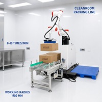 Robot palettiseur pour l'emballage de cartons de 30 kg, pour la manutention de cartons et le chargement de palettes en entrepôt