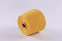 The Factory Produces All Kinds of High Quality Socks Yarn 100% Polyester Spinning Polyester Color Yarn