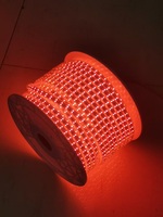 Guirlandes lumineuses LED USB en PVC étanches haute tension AC 165-265V 2700K blanc chaud avec contrôle tactile/sensoriel 100M IP65 certifiées CE