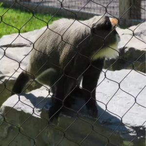 Redes de Seguridad de Acero Inoxidable Tejidas Anticaídas de Gran Altura se Utilizan para Proteger Balcones de Altura - Product Image 5