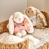 Peluche Lapin de Pâques, Remplissage de Panier de Pâques, Cadeau de Baby Shower, Lapins Frères et Sœurs, Nom Personnalisé, Poupées Lapins Doux, Cadeau Grande Sœur