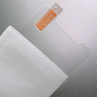 Oem 0.3Mm 2.5d 9H Telefoon Gehard Glas Screen Protector Voor Iphone 16 16 Pro Gehard Glas Met Retail Verpakking A-1059