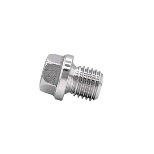 Tapones de tornillo de cabeza hexagonal DIN 910 tipo <span class=keywords><strong>2B</strong></span> 304L 316L M18 M16, piezas automotrices - Product Image 5