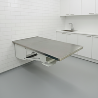 Platzsparender Wandmontierter Klappbarer Tierarzt-Untersuchungstisch aus 304 Edelstahl, Wiederverwendbar für Hunde- und Tierkliniken