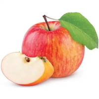 Hete Aanbieding Hoge Kwaliteit Puur Natuurlijk Appel Kruidenextract Fruit 75% Polyfenolen Voedingsmiddelkwaliteit Poeder in Trommelverpakking
