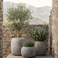 Pots de fleurs en ciment mat de grande taille, style européen simple, pour décoration intérieure et extérieure, idéaux pour patios, jardins et centres commerciaux/hôtels