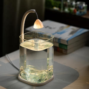 Op Maat Gemaakte Luxe Mini Desktop <span class=keywords><strong>Aquarium</strong></span> Hot Selling Milieuvriendelijk Glazen Ontwerp Voor Kantoor En Huiselijke Sfeer Creatie 5W Power - Product Image 5
