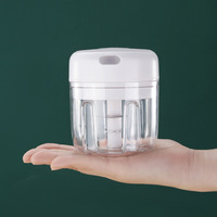 Usb 250/100Ml Vlees Ui Knoflook Groente Chili Mincer Oplaadbare Draagbare Stamper Druk Mini Elektrische Knoflook Chopper