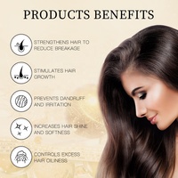 Set Sampo dan Kondisioner Organik Bebas Sulfat untuk Pertumbuhan Rambut, Anti Ketombe, dengan Rosemary, Biotin, Bawang, Kafein, dan Keratin (Private Label)
