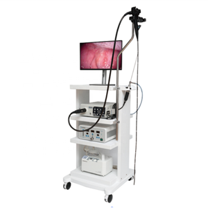 Gastroscopio e colonscopio medico gastrointestinale sistema endoscopico endoscopio gastroscopio veterinario endoscopio cane - Product Image 1