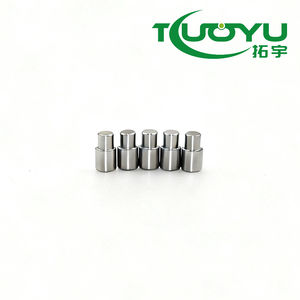 <span class=keywords><strong>2026</strong></span> OEM Pasadores expulsores de punzonado de acero con buje y manguito de carburo para moldes de vehículos DIN9861D Modelo Proveedor de Guangdong - Product Image 1