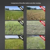 Tondeuse à gazon télécommandée MDE haute productivité, type chenillé, pour désherbage, réaménagement de vergers et broyage d'herbe agricole Longjie