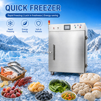 Système de congélation cryogénique à l'azote liquide en acier inoxydable, haute sécurité, technologie industrielle, congélateur rapide pour aliments de qualité