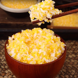 ייצוא תירס שחור ללא גלוטן גרגרי תירס גס זול עבור אפייה ובישול תירס גרגרי תירס פולנטה תירס - Product Image 6