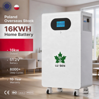Stock UE Batterie de stockage domestique 16 kWh LiFePO4 51,2 V 314 Ah 95 % DOD Garantie 10 ans pour l'alimentation de secours solaire résidentielle