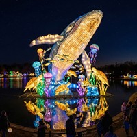 Decoración de Faroles con Forma de Grandes Animales Marinos para Parques de Diversiones, Navidad, Uso Interior/Exterior, Espectáculo de Luces para Parques Temáticos