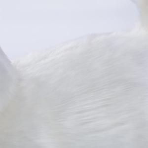 Vente en gros de jouets réalistes en <span class=keywords><strong>peluche</strong></span> pour chien couché blanc animaux de compagnie faits à la main cadeaux en <span class=keywords><strong>peluche</strong></span> pour enfants anniversaire Kawaii chien couché jouets - Product Image 4