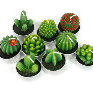 Bougies chauffe-plat Cactus Coffret cadeau <span class=keywords><strong>Bougie</strong></span> en forme de plante succulente mignonne faite à la main sans fumée pour la fête - Product Image 1