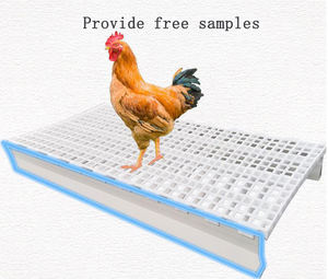 Plancher en lattes de plastique PP neuf en gros, durable pour l'élevage de poulets et de canards, largement utilisé dans l'industrie avicole avec une garantie de 5 ans - Product Image 5
