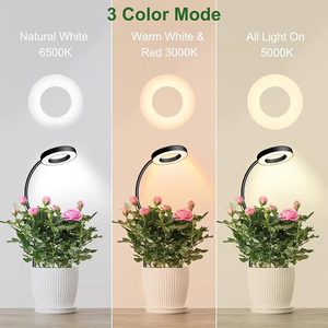 Lámpara de Cultivo de Plantas de Espectro Completo Joystar Single Head Halo COB para Plantas de Interior, 48 LEDs, con Clip y Estaca, Venta al por Mayor OEM - Product Image 2