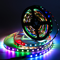 Bande LED flexible DMX512RGB 4 fils 10mm RGBW adressable UCS512 5050 RGB 12V DC24V IP67 corps en PVC pour application paysagère