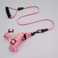 Ensemble laisse tressée pour chien et harnais de poitrine réglable, poignée rembourrée anti-torsion, kit de promenade pour chiens de taille moyenne à grande