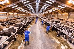 Bâtiment de bétail en acier durable de grange en acier de qualité supérieure - Product Image 5