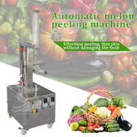 SAIDASHI Commerciële Elektrische Fruit Schilmachine Pin Type Sinaasappel Citroen Appel Schiller 220V 320W