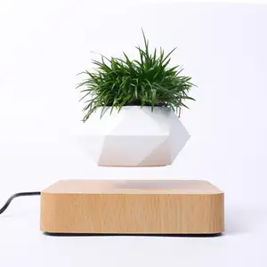 Maglev potted plants for Valentine's Day birthday gifts creative levitating decoration