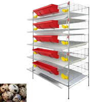 Système de cage à cailles à 6 niveaux en forme de H pour une production d'œufs à haute efficacité, équipement d'élevage avicole