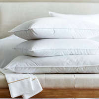 Oreiller Queen Size 20x30 pouces en duvet et plumes de canard de qualité supérieure, soutien doux, vente en gros OEM