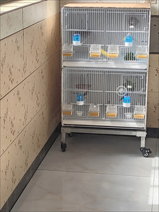 Cage à oiseaux d'élevage double vol de 23 pouces, empilable, avec panneau latéral, emballage carton, bouton-pression durable certifié DOT - Product Image 6