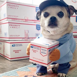 Hondenkoerier Cosplay Kleding Grappige Pet Bont Kostuum Voor Rollenspel Express Pakket En Piratenpak Voor Halloween - Product Image 5