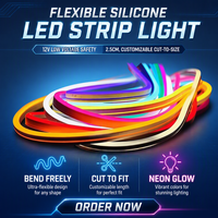 Bande lumineuse LED transfrontalière 12V 5x11 flexible néon monochrome PVC IP67 6x12 en silicone pour éclairage décoratif d'ambiance