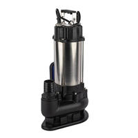 Pompe submersible commerciale pour eaux usées, en acier inoxydable avec sortie de 50 mm pour station d'épuration et système de fosse septique