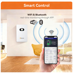 Batería de Iones de Litio de 51.2V y 15Kwh con 8000 Ciclos, Batería de Almacenamiento de Energía Solar, Batería de Pared de 48V y 300Ah LiFePO4 - Product Image 2