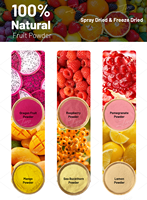 Gefreeze-droogd vijgenpoeder 100% puur natuurlijk voedingsmiddel bulk voor dranken, bakkerijproducten en snacks