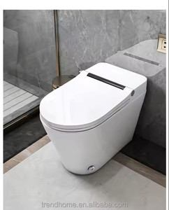 Hiện Đại Thông Minh Nhà Vệ Sinh Với Giấu Tank Tiên Tiến Ghế Sưởi Ấm Điện Tử Tự Động Mở Điều Khiển Từ Xa Phòng Tắm Sử Dụng - Product Image 6