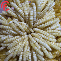 Gelang Manik-manik Abacus Batu Amber Alami Grosir untuk Perhiasan DIY Wanita Pria Hadiah